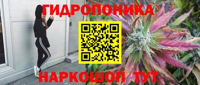 кокс Аргун