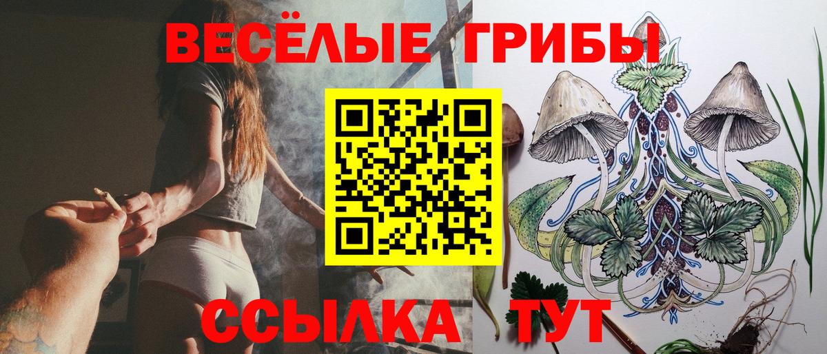 Белогорск  Галлюциногенные грибы Psilocybe  Псилоцибиновые грибы MAGIC MUSHROOMS  Вход с VPN 